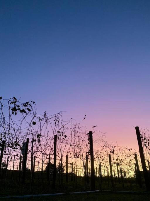 Quarto Dos Vinhos Villa São Roque Eksteriør bilde